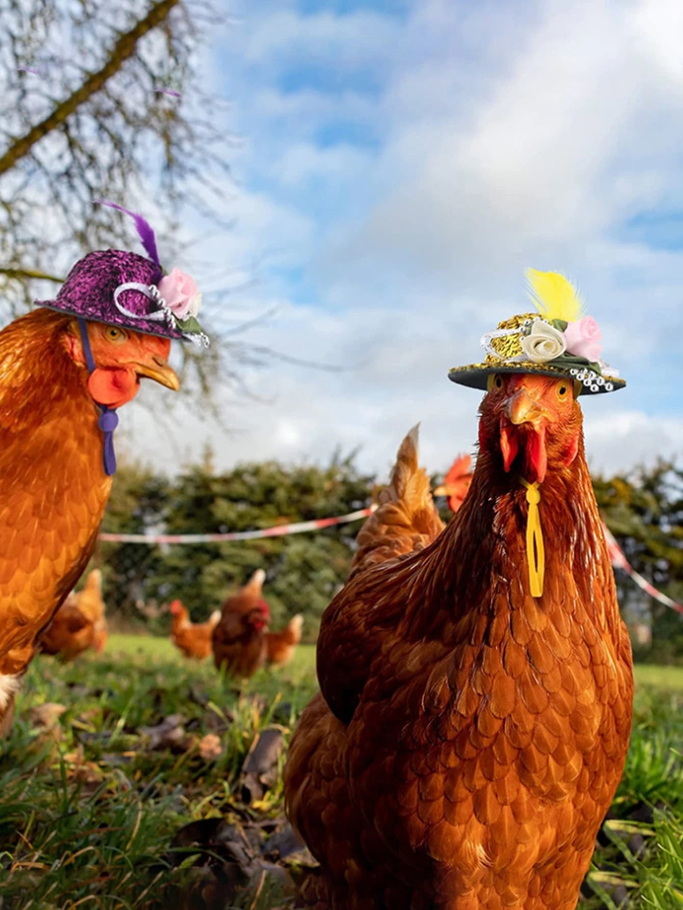 1pc Flower Decor Random Chicken Hat