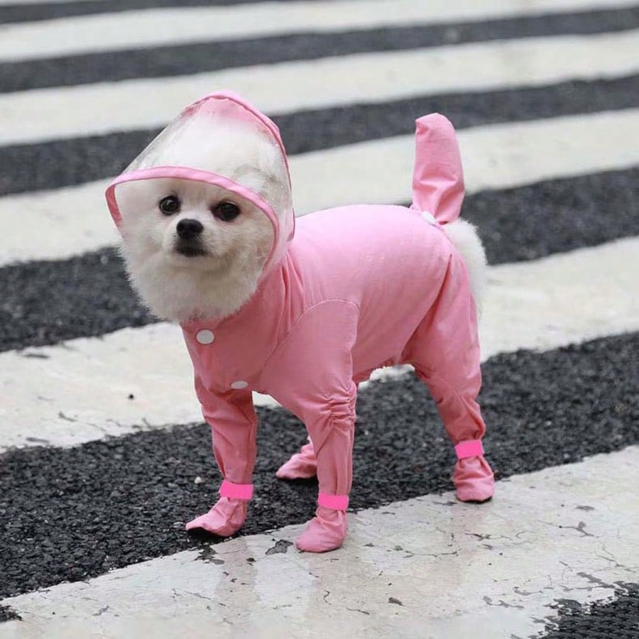 1pc Pet Cat Dog Waterproof Raincoat With Built-In Rain Boots, All-Season Pet Supplies