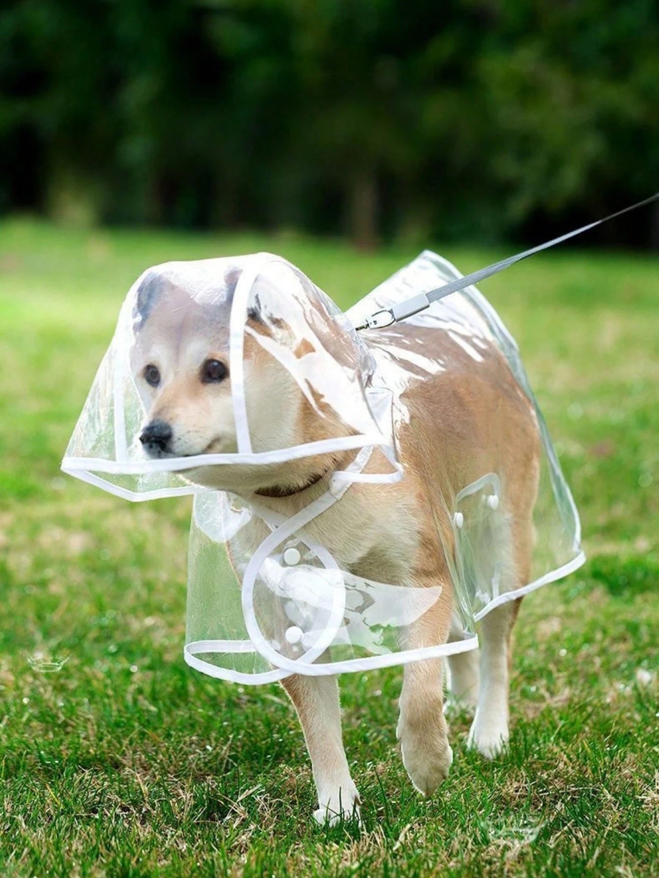 1pc Pet Raincoat, Waterproof Windproof Pet Clothes, Transparent Pet Raincoat, Waterproof Windproof Clothes For Small Dogs, Raincoat For Large Dogs
