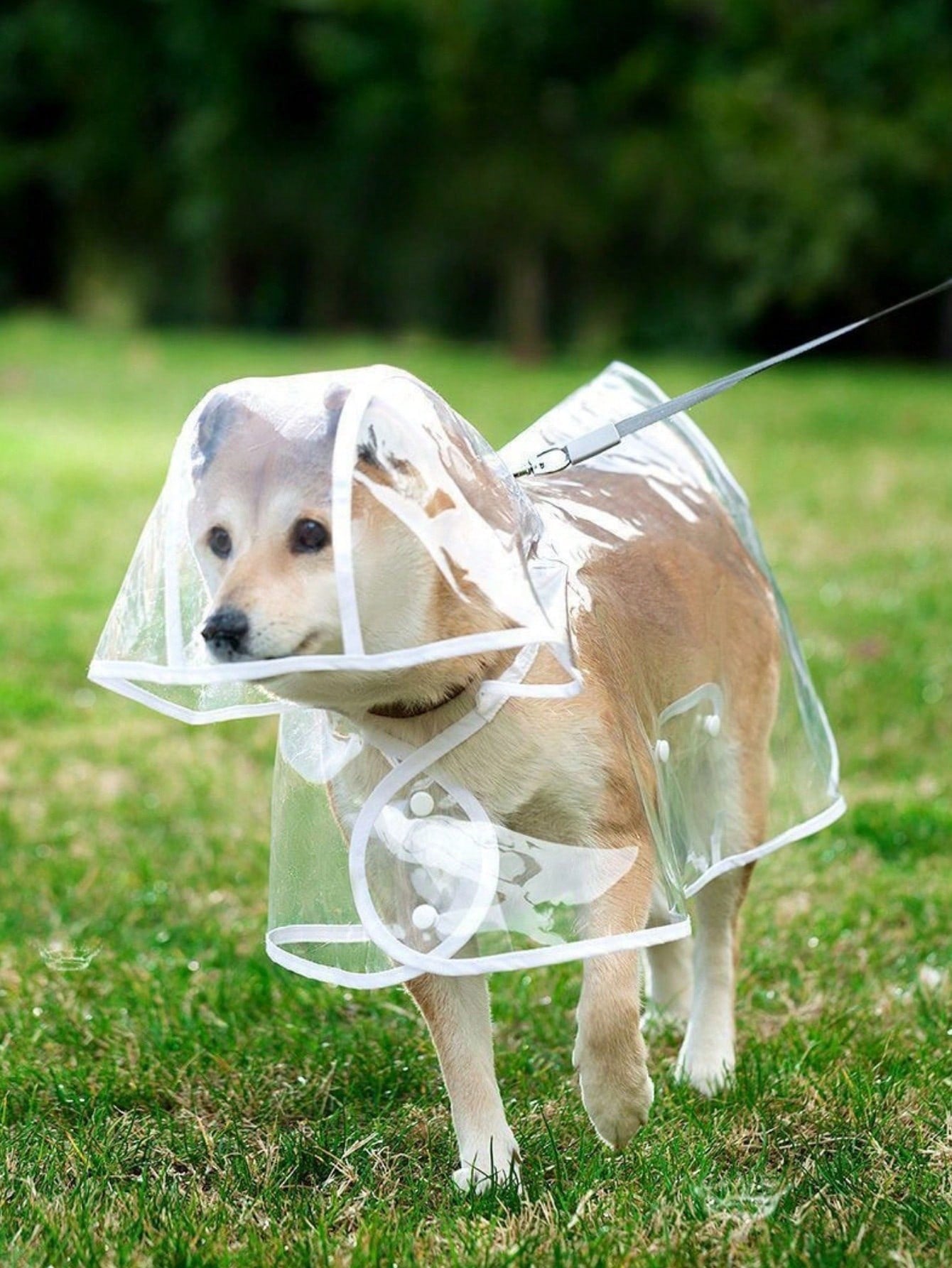 1pc Pet Raincoat, Waterproof Windproof Pet Clothes, Transparent Pet Raincoat, Waterproof Windproof Clothes For Small Dogs, Raincoat For Large Dogs
