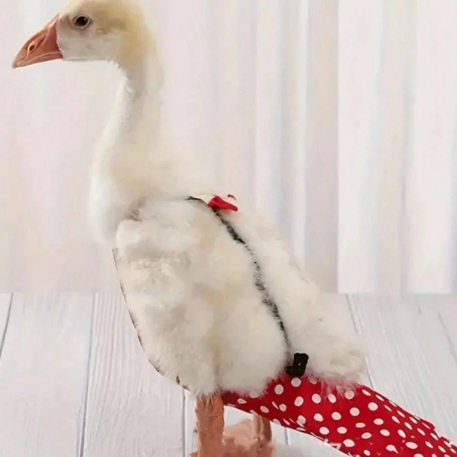 Adjustable Bowknot Duck Design Pet Diaper, Non-Waterproof, Hand Washable