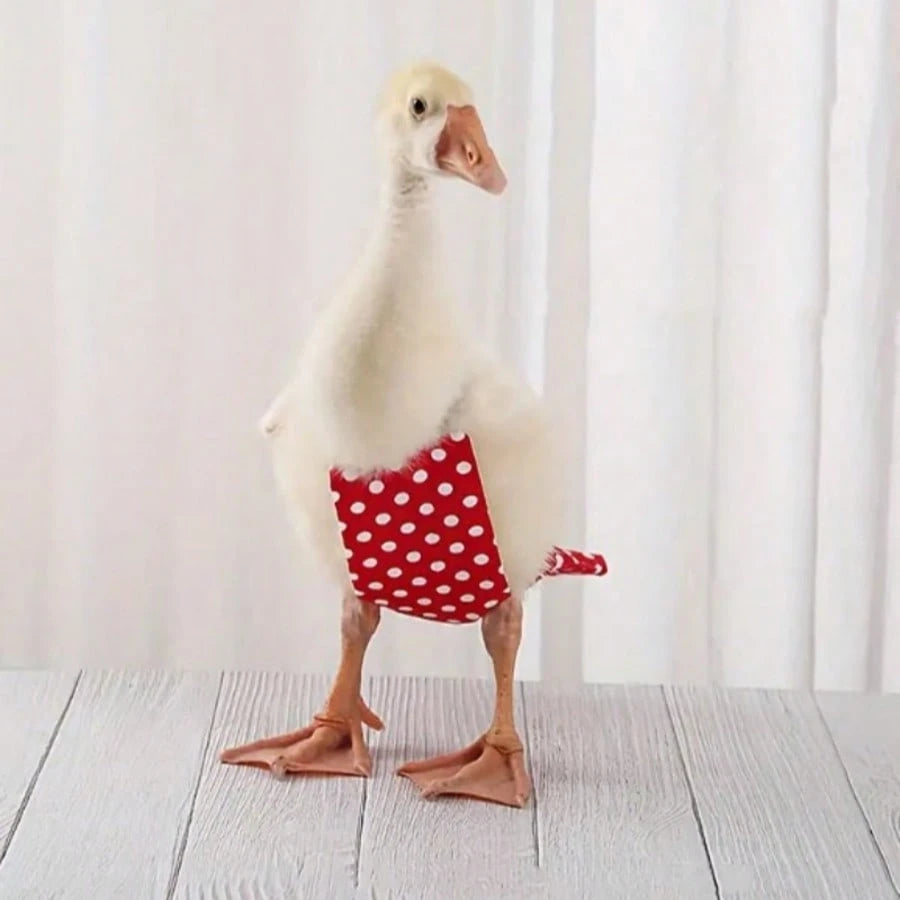 Adjustable Bowknot Duck Design Pet Diaper, Non-Waterproof, Hand Washable