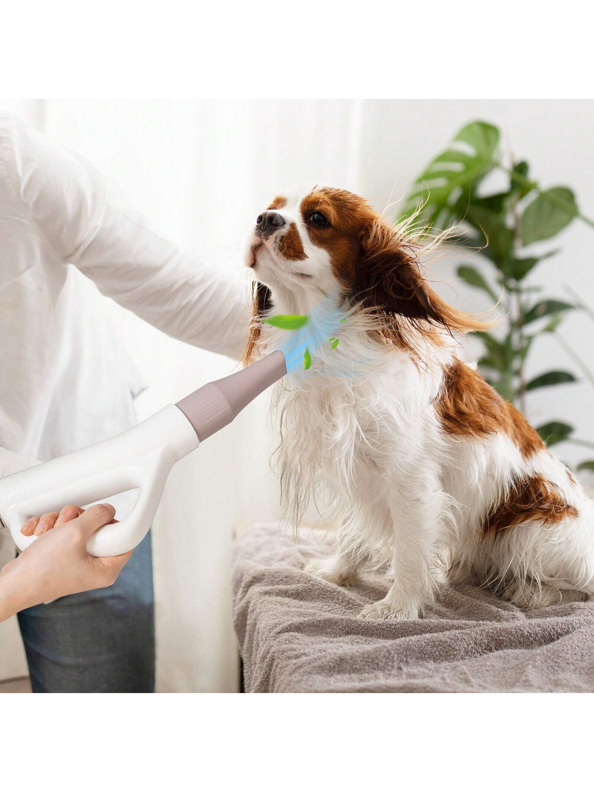 Dog Dryer Pet Hair Blower W/Negative Ion Function LED Screen Temperature Control