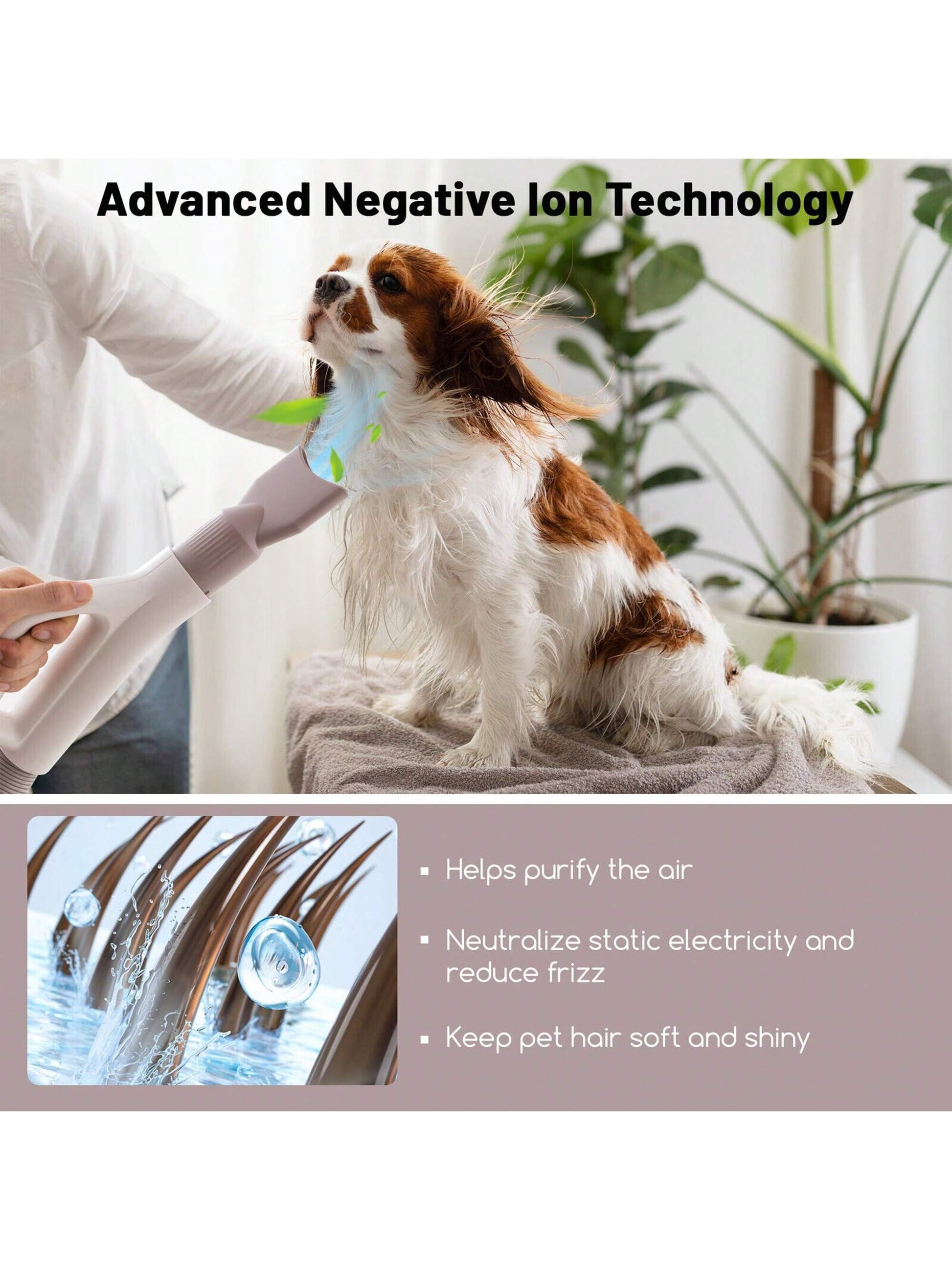 Dog Dryer Pet Hair Blower W/Negative Ion Function LED Screen Temperature Control