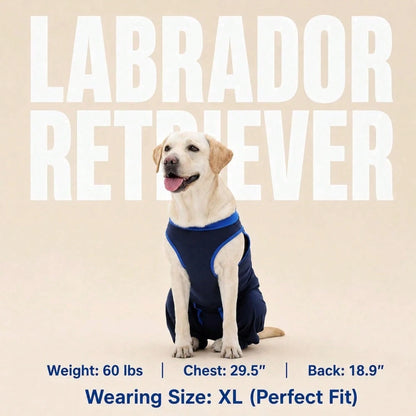 Dog Leg Recovery Suit, Anti-Licking Dog Pants, Protective Cover For Dog Legs And Abdomen, Anti-Licking Dog Leg Protector, Post-Surgery Jumpsuit For Male And Female Dogs, Pet Elizabeth Collar Alternati