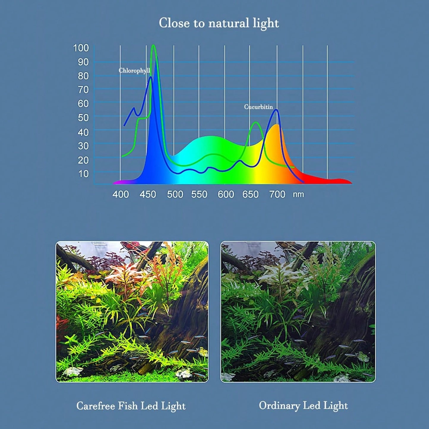 Full Spectrum Aquarium LED Lights For Small To Medium-Sized Fish Tanks. 42 LED Clip Lights Suitable For Aquatic Plant Lighting And Smart USB Universal Plant Lamps. The Clip Is Adjustable From 3 To 8 M
