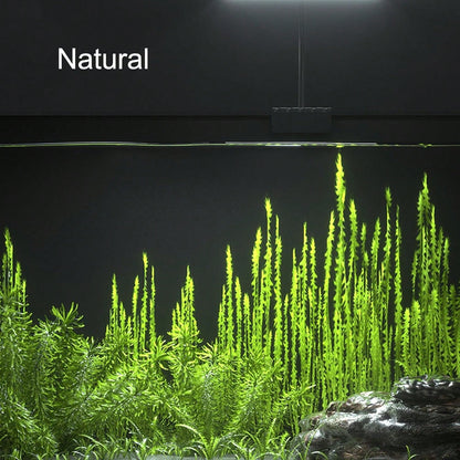 Full Spectrum Aquarium LED Lights For Small To Medium-Sized Fish Tanks. 42 LED Clip Lights Suitable For Aquatic Plant Lighting And Smart USB Universal Plant Lamps. The Clip Is Adjustable From 3 To 8 M