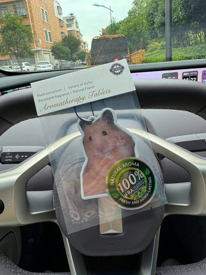 Hamster Meme With Peace Sign Magnet, Car Air Freshener, Wardrobe Air Freshener, Fragrance, Rearview Mirror Decor, Car Interior Hanging Ornament, Natural Fragrance Air Purifier, Cartoon Bathroom Fragra