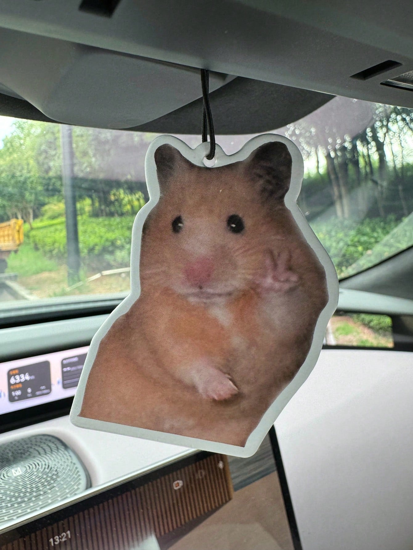 Hamster Meme With Peace Sign Magnet, Car Air Freshener, Wardrobe Air Freshener, Fragrance, Rearview Mirror Decor, Car Interior Hanging Ornament, Natural Fragrance Air Purifier, Cartoon Bathroom Fragra