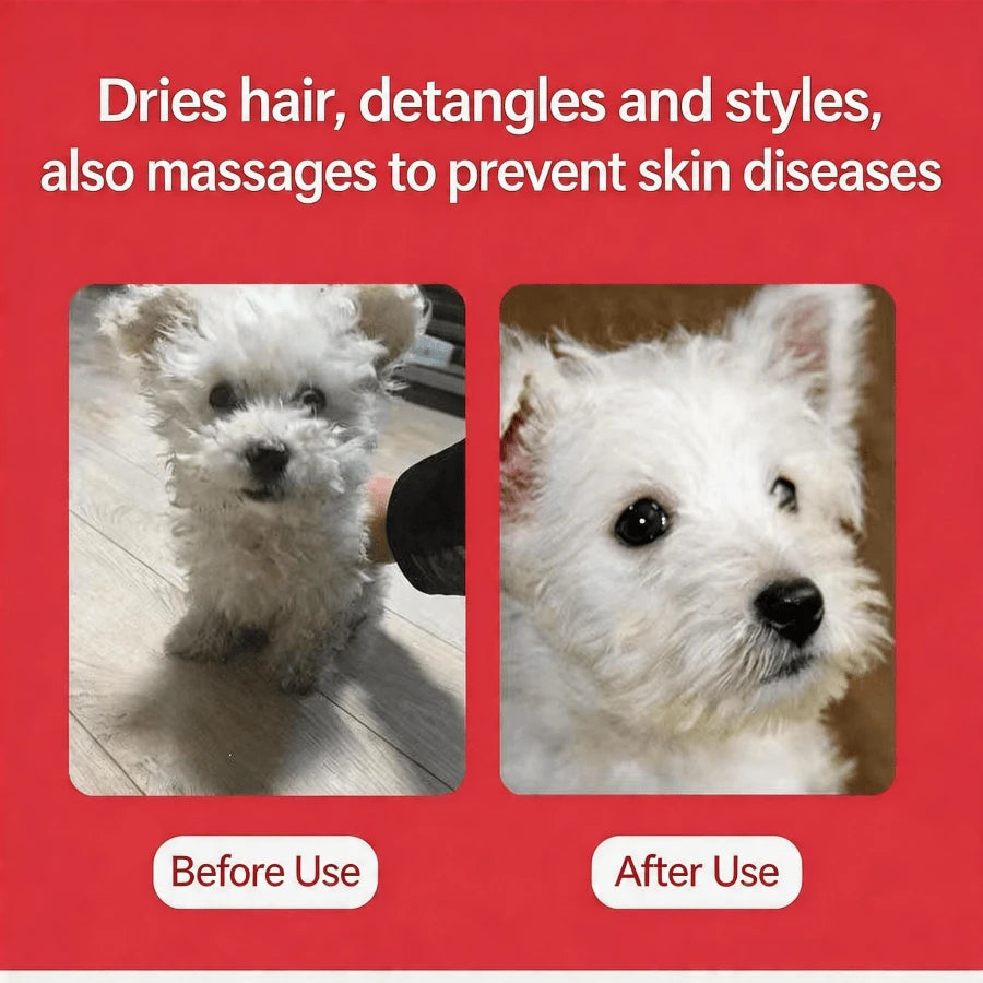 High-Powered Pet Hair Dryer And Comb For Cats And Dogs- A Multi-Functional Grooming Tool For Dogs And Cats, Easily Removes And Cleans Fur With This Electric Hot Air Brush.
