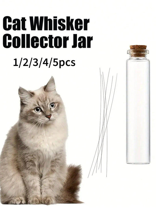 Mini Glass Vase, Cat Whisker Collector, Thoughtful Gift For Cat Lovers, Suitable For All Seasons