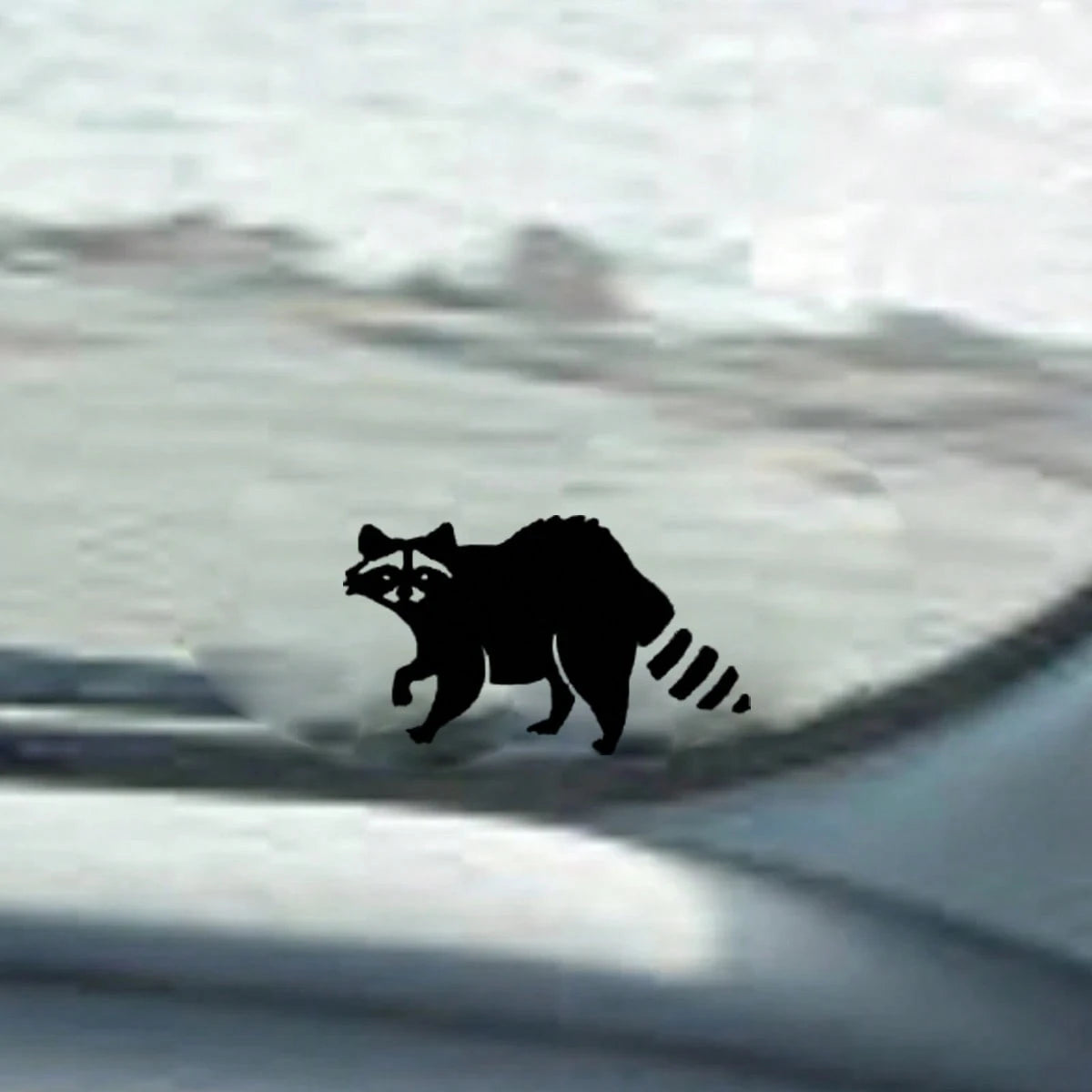 Mini Raccoon Hidden Stickers- Car Rearview Mirror Stickers, Easter Egg, SUV Stickers, Boy Stickers, Girl Stickers, Car Decoration Stickers