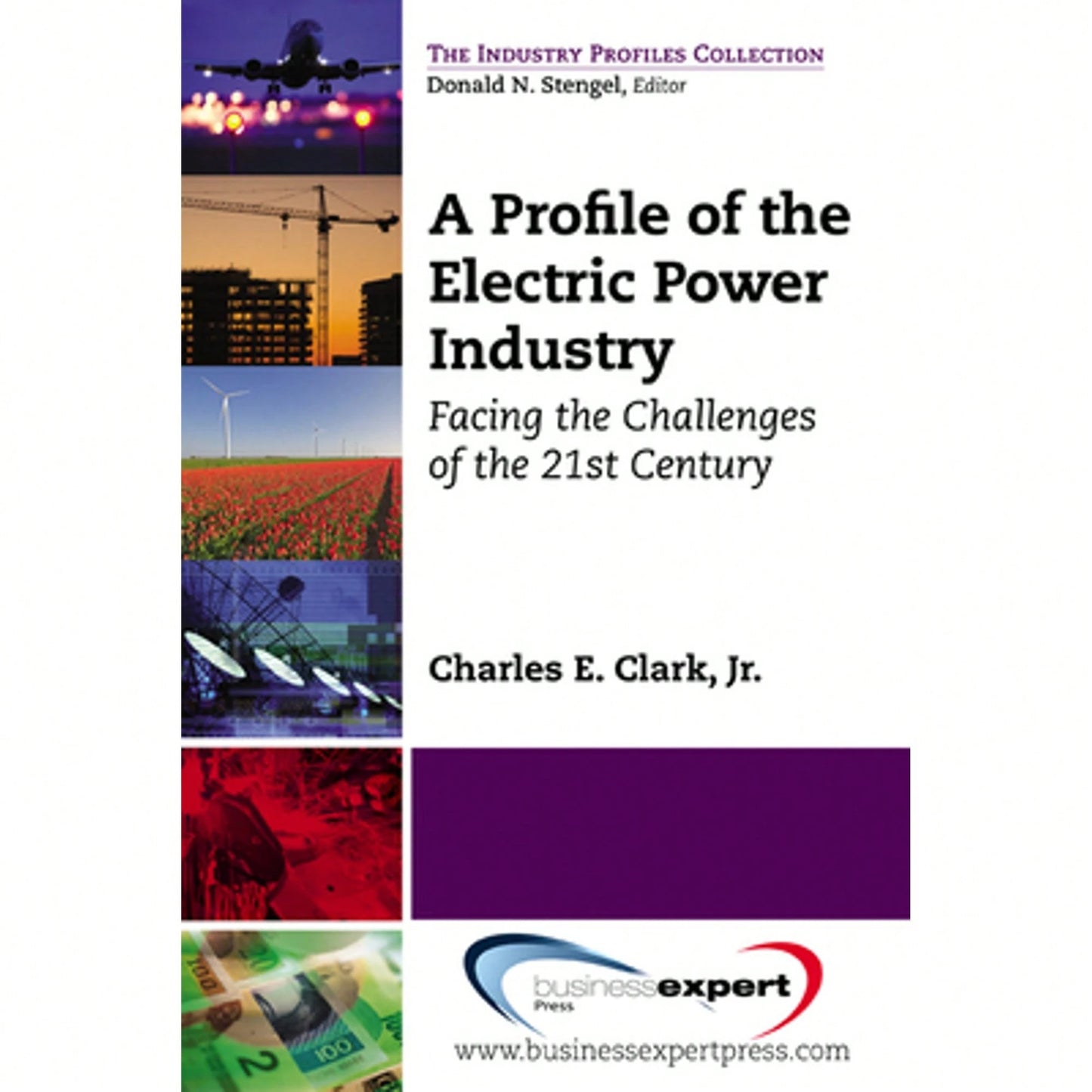 Pre-Owned A Profile Of The Electric Power Industry: Facing The Challenges Of The 21st Century (Paperback) By Charles Clark