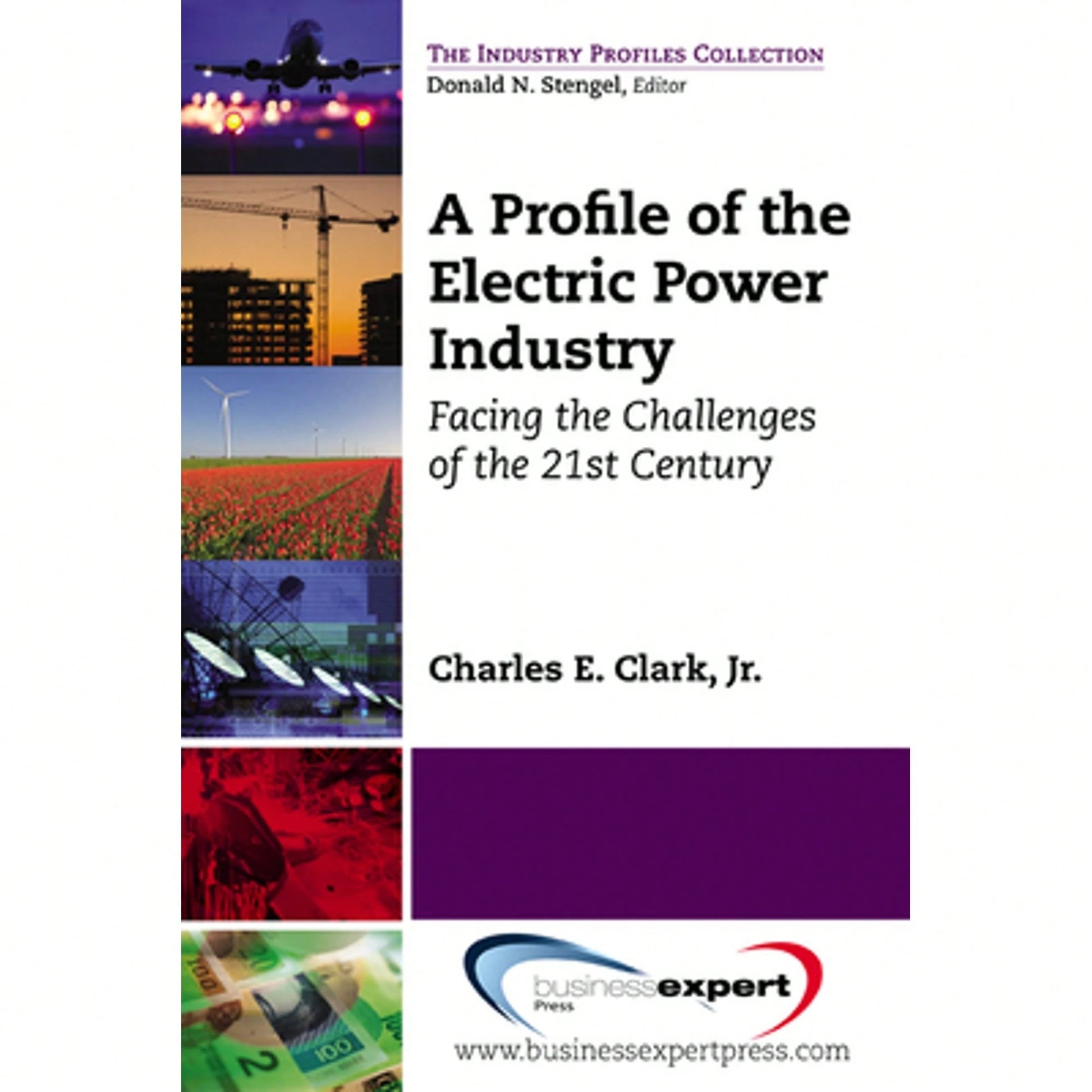 Pre-Owned A Profile Of The Electric Power Industry: Facing The Challenges Of The 21st Century (Paperback) By Charles Clark