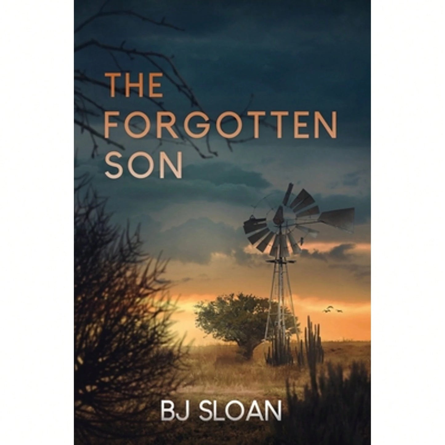 Pre-Owned The Forgotten Son (Paperback) By Bj Sloan