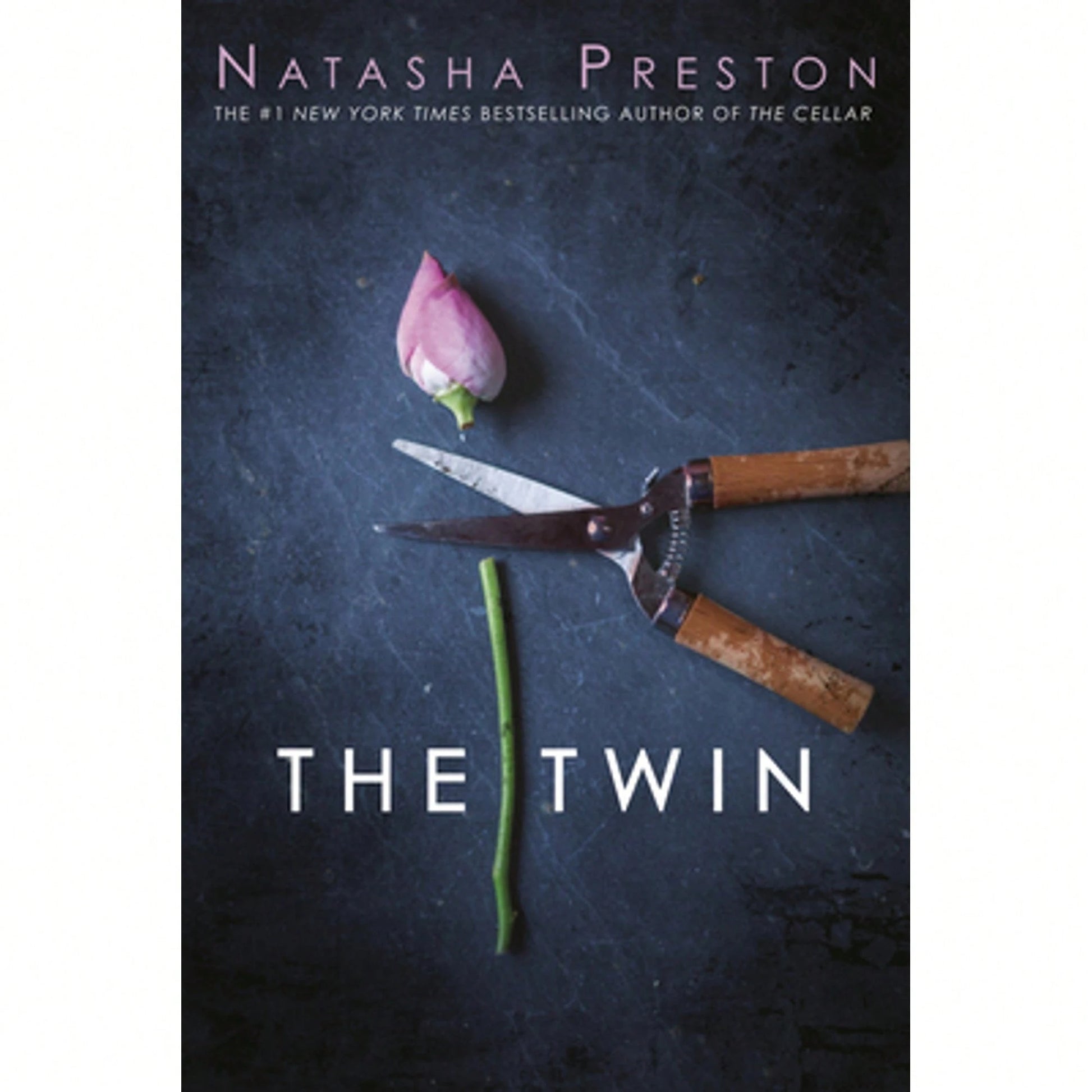Pre-Owned The Twin (Paperback) By Natasha Preston