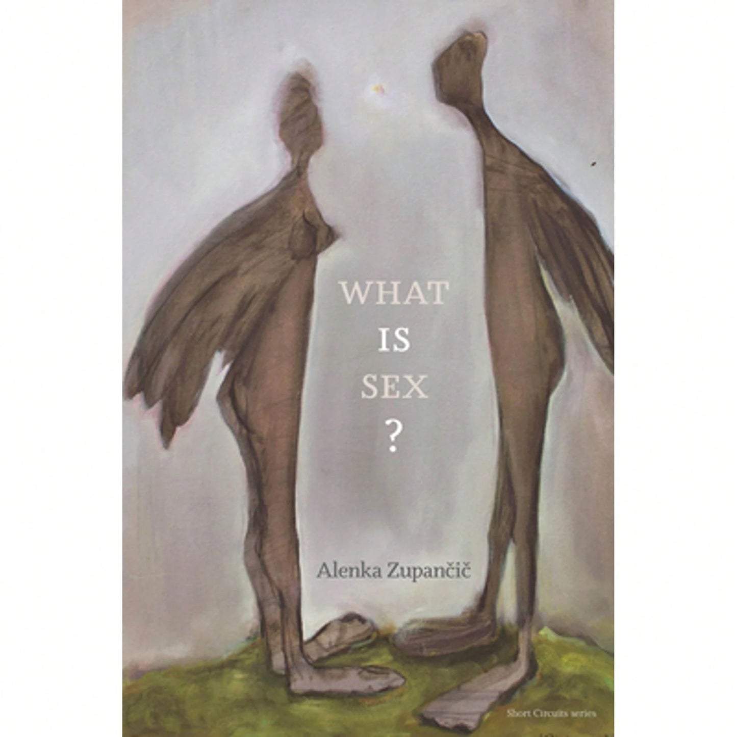 Pre-Owned What Is Sex? (Paperback) By Alenka Zupancic