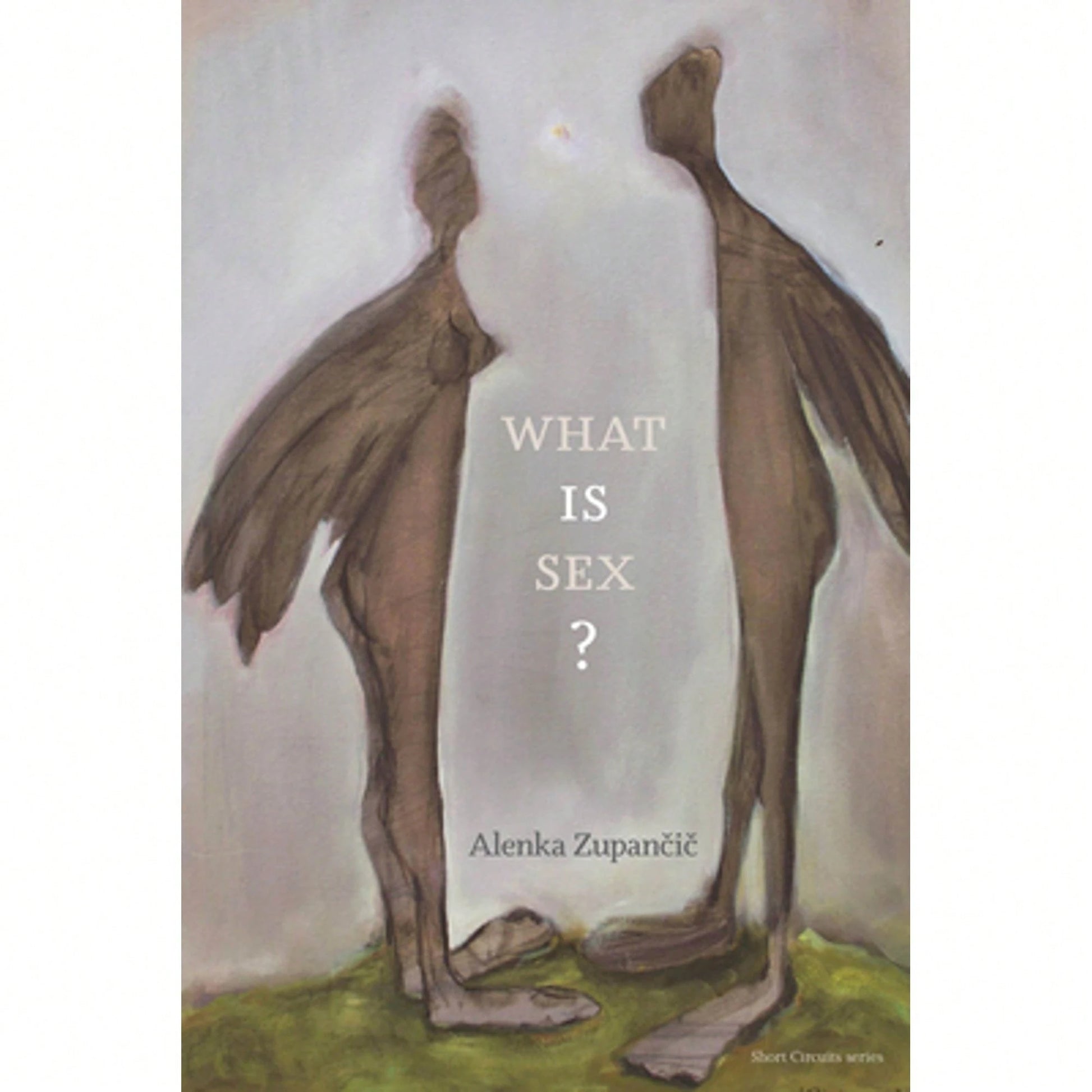 Pre-Owned What Is Sex? (Paperback) By Alenka Zupancic