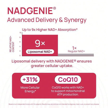 Women's Selerb NAD+ Supplement NMN Alternative Liposomal Delivery β-NAD+ 30 Days Supply